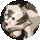 TorraX