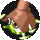 Bangie